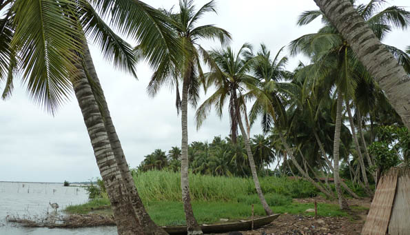 Retour sur la terre ferme — Vie africaine