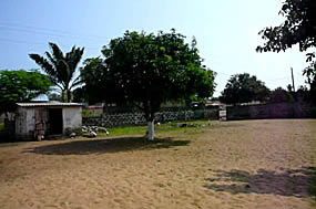 Agoué au Bénin — Vie africaine