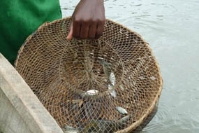 La pêche — Vie africaine