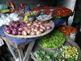 Retour sur la terre ferme — Vie africaine